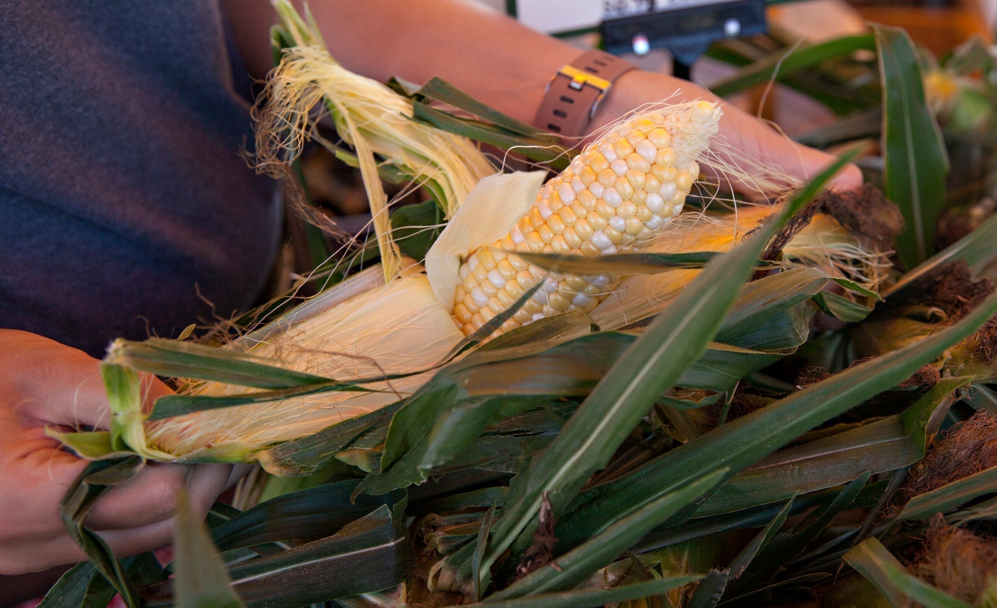 The Unexpected Global Roots of Your Local Produce