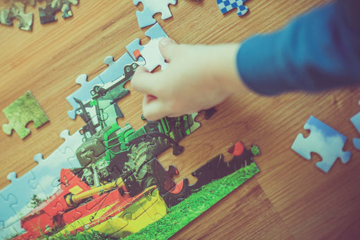 The Pieces of the Puzzle