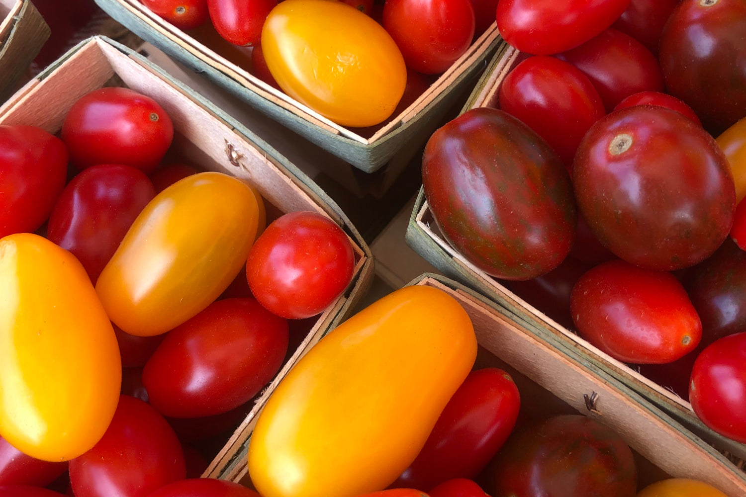 "Locally Grown" Season