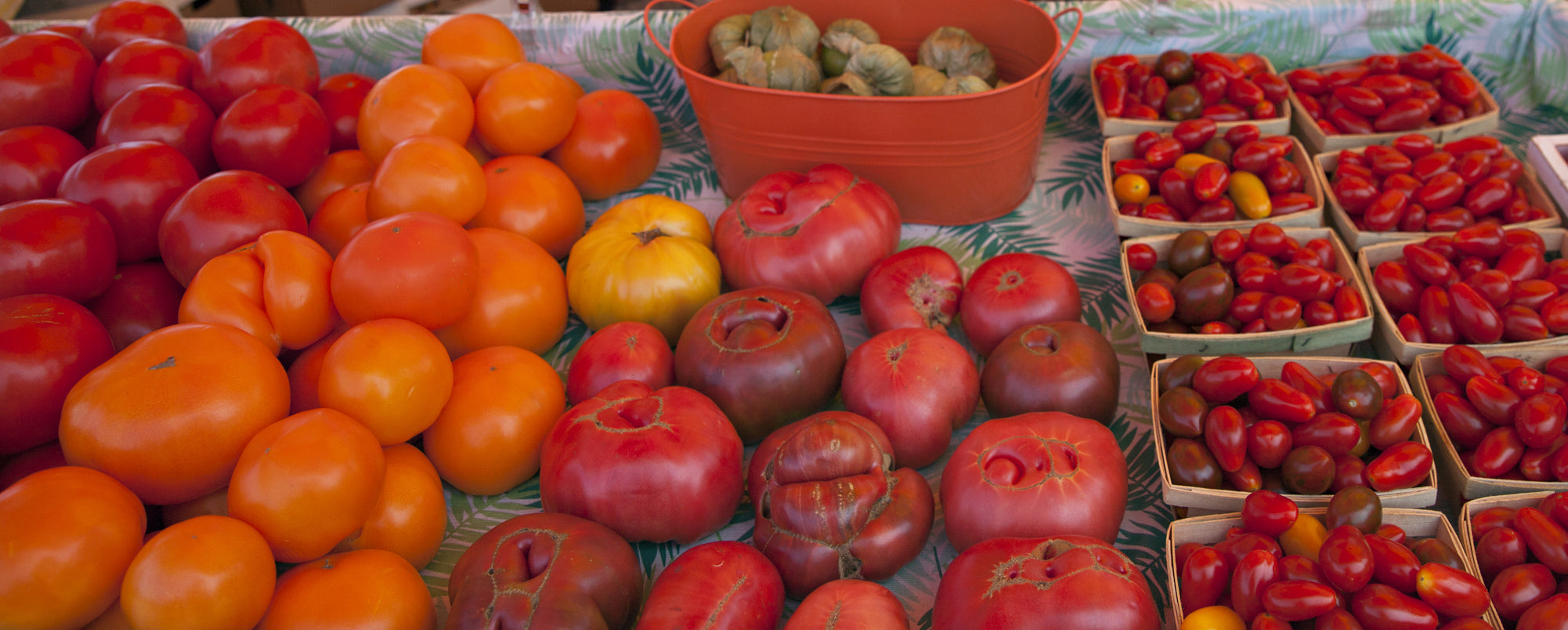 Weathering the Storms and Harvesting Abundance
