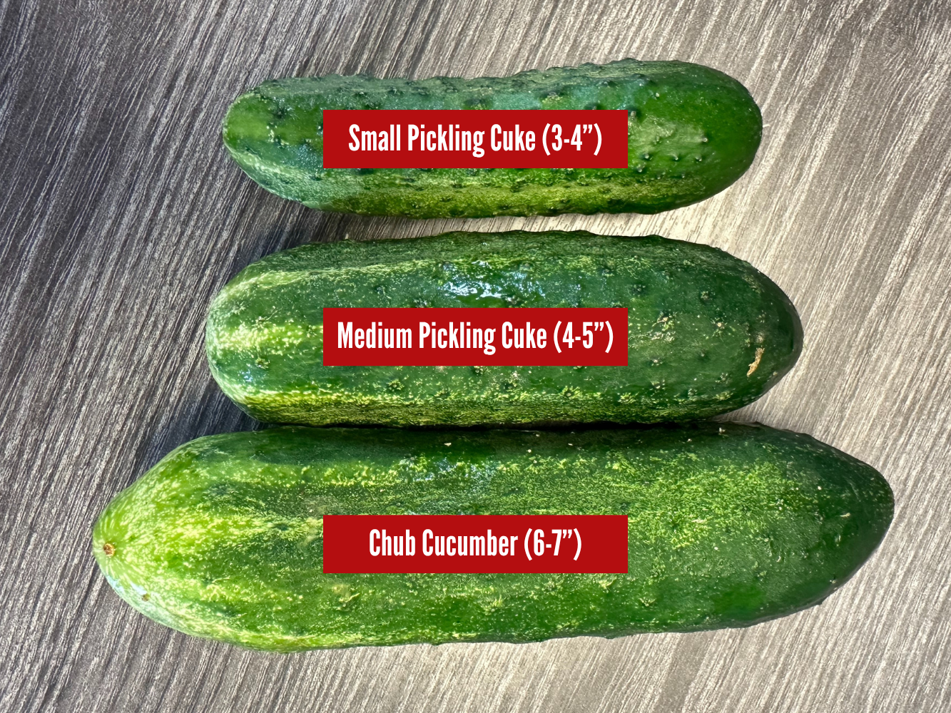 Pickling Cukes  - 1/4 bushel