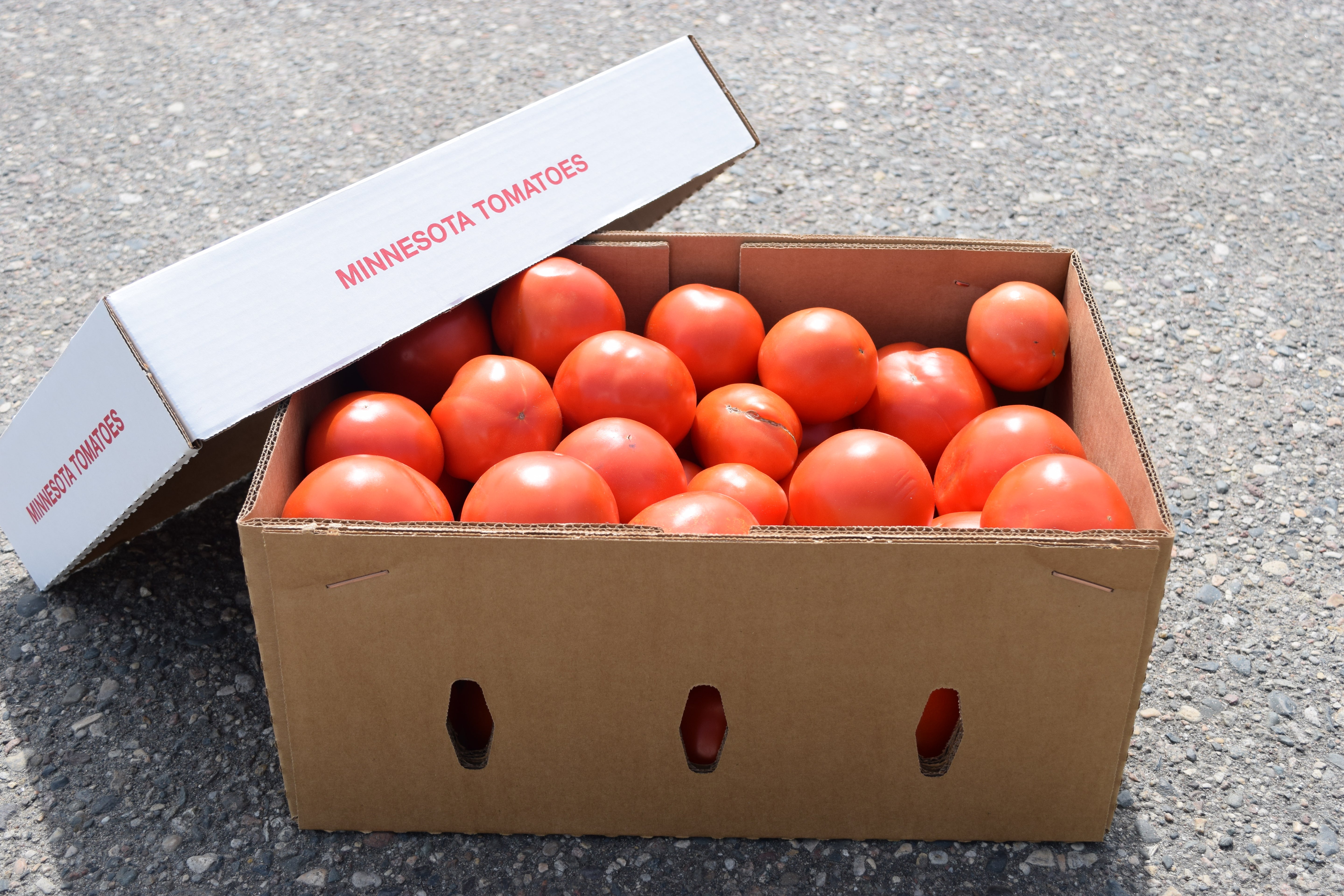 Canning Tomatoes - 1/2 bushel