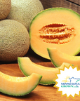 What's In Season - cantaloupe.png__PID:3e990c45-f365-413a-9975-1eb0fd92ff61