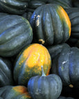 Acorn Squash