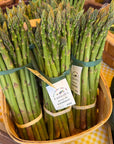Asparagus