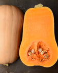 Butternut Squash