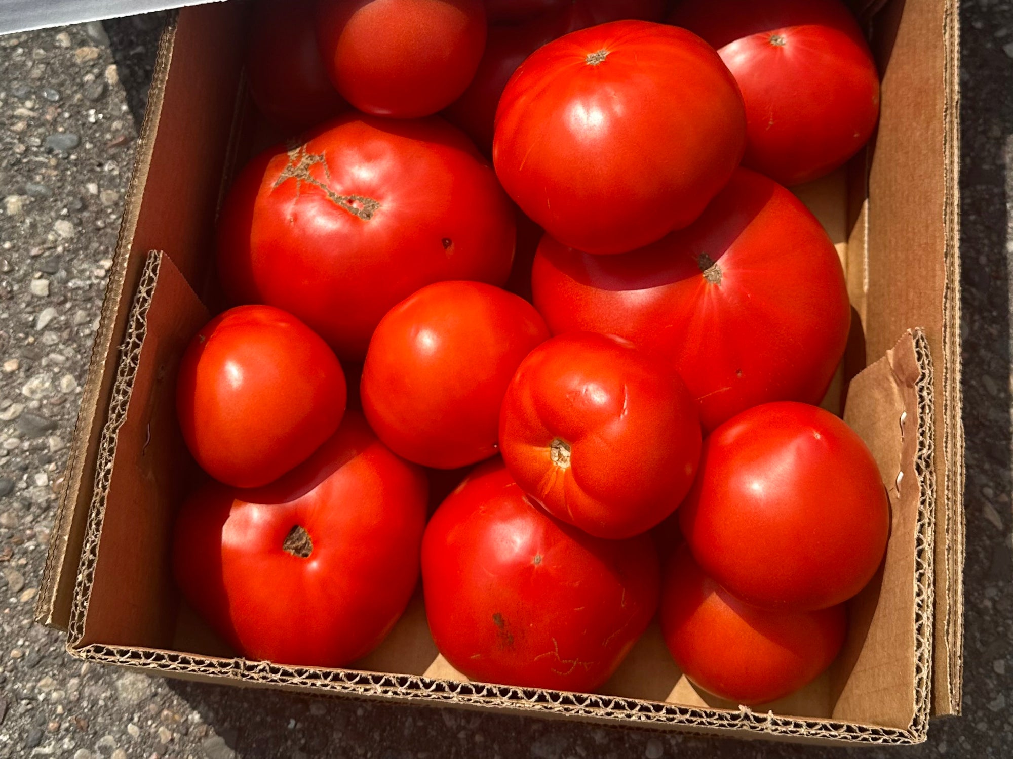 Canning Tomatoes - 1/4 bushel