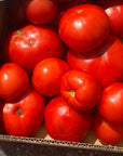 Canning Tomatoes - 1/4 bushel