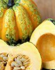 Carnival Squash