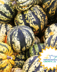Carnival Squash