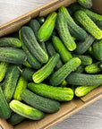 chub-cucumbers-bulk-2000-15-rotated.jpg__PID:23068940-f4ef-4046-9839-9855cdf29a0e