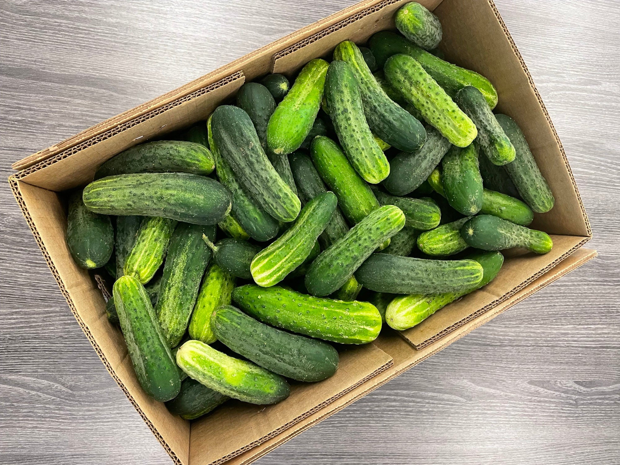 Chub Cucumbers - 1/2 bushel