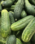 Chub Cucumbers