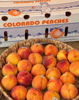 Colorado Peaches - 20 Pound Case