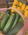 Zucchini