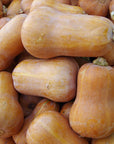 Honeynut Squash