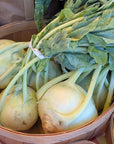 Kohlrabi
