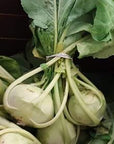 Kohlrabi