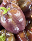 Peppers (Sweet)