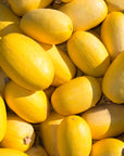 Spaghetti Squash
