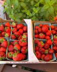 Strawberries - 1 flat