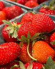 Strawberries - 1 flat