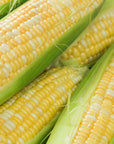Sweet Corn