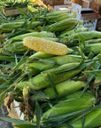 sweet corn at minneapolis farmers market square.jpg__PID:cd447f75-f426-4feb-9949-9a5a4517e3c8