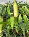 Sweet Corn