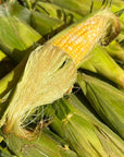 Sweet Corn - 4 dozen bag