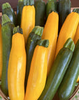 Zucchini