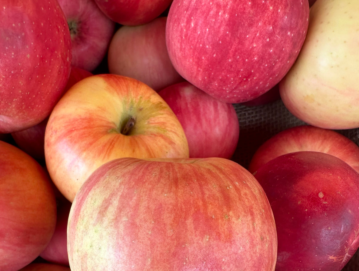 zestar_apples_133_1200x1200.