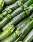Zucchini
