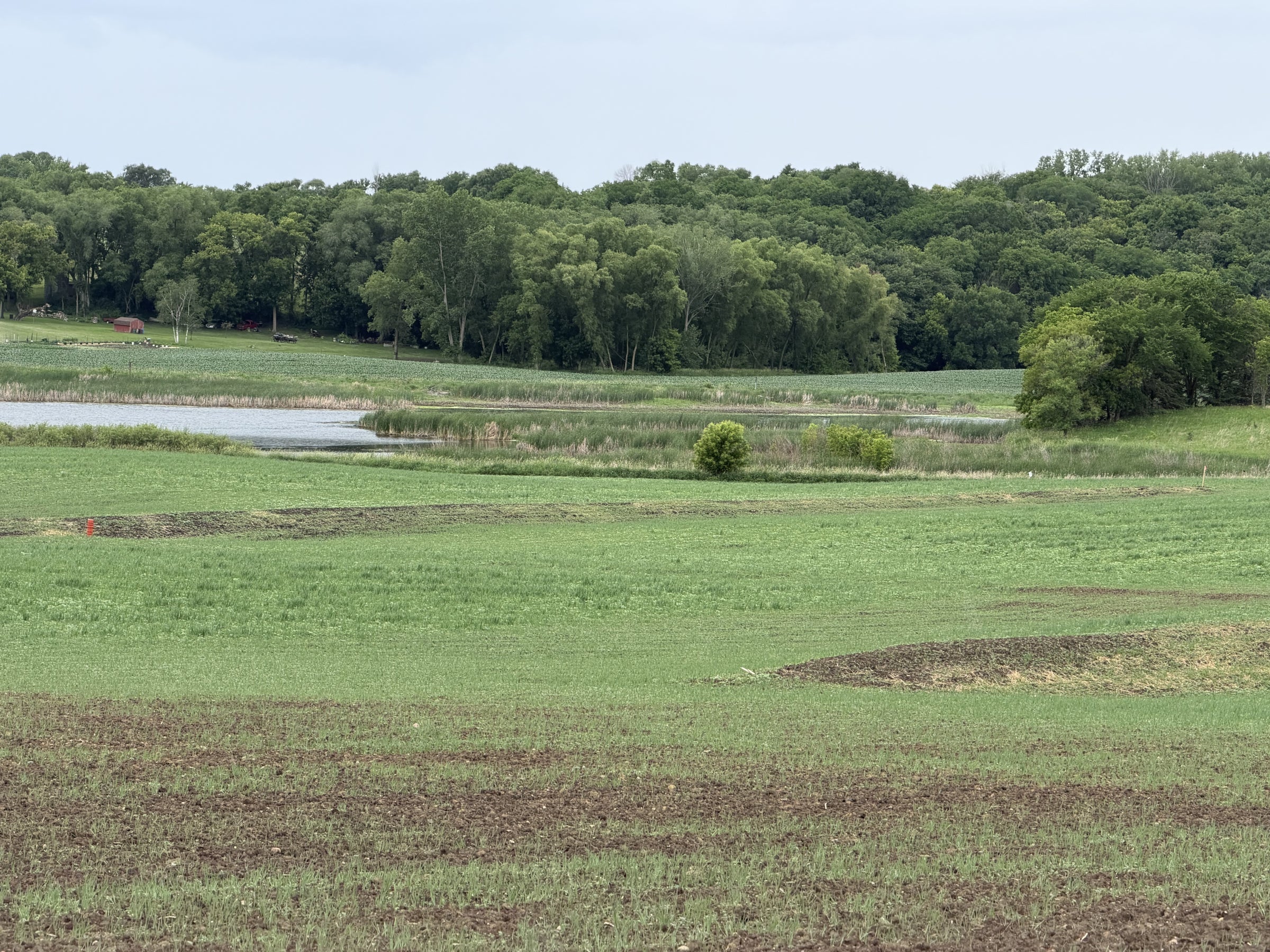 Farming for the Future: Partnering for Soil Conservation on the Crow River
