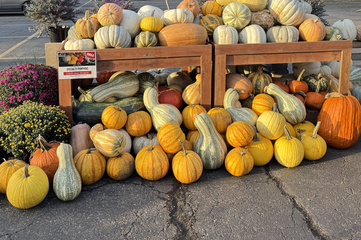Beyond the Porch: Creative Ways to Repurpose Your Pumpkins After Fall