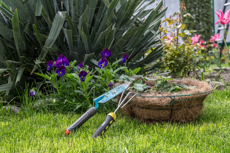 Starting a Perennial Garden in Minnesota