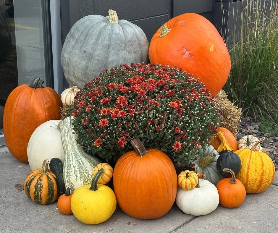Don't Trash Your Gourds