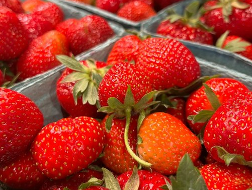 The First Berries Of Summer