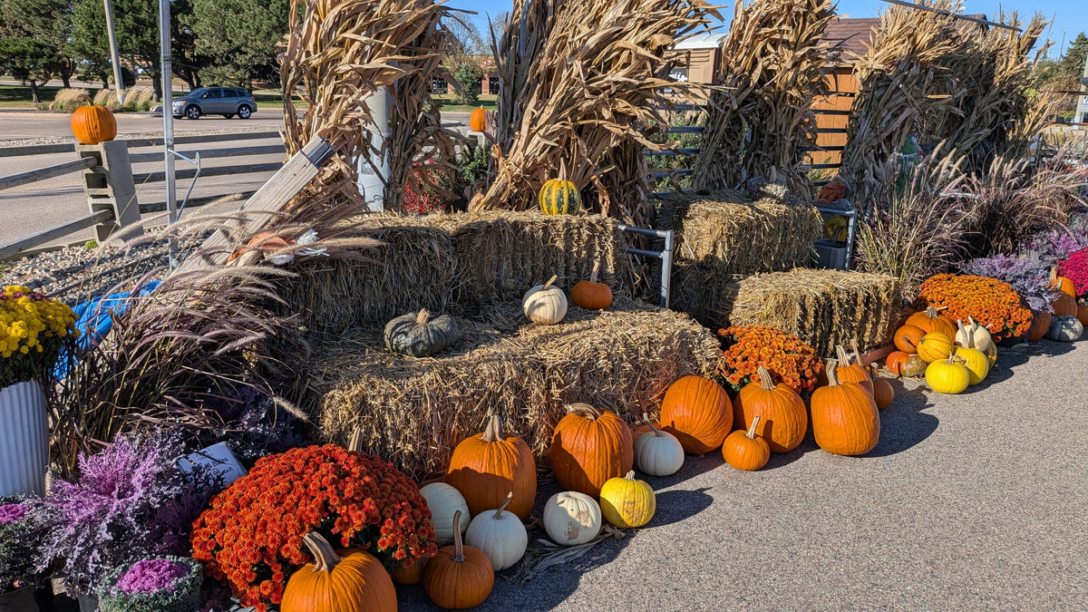 The Final Harvest of the Season