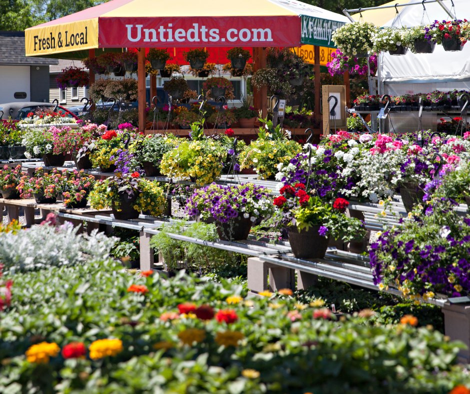 Resilience, Roots, and Retail