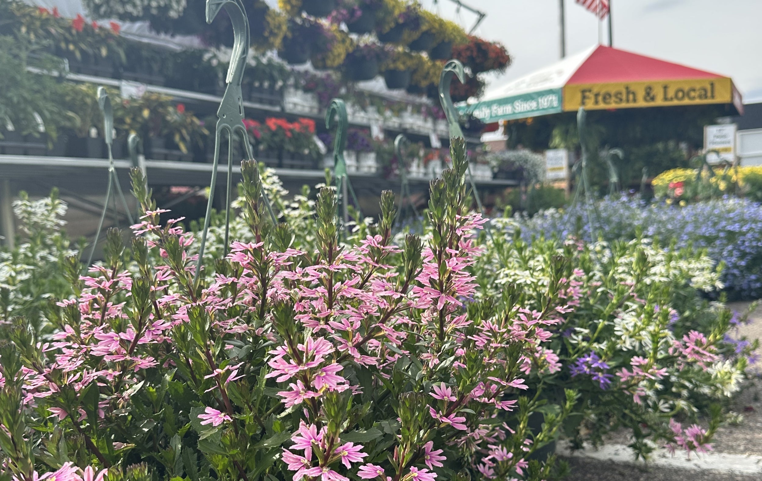 April Showers, May Flowers, and the Big Opening Push