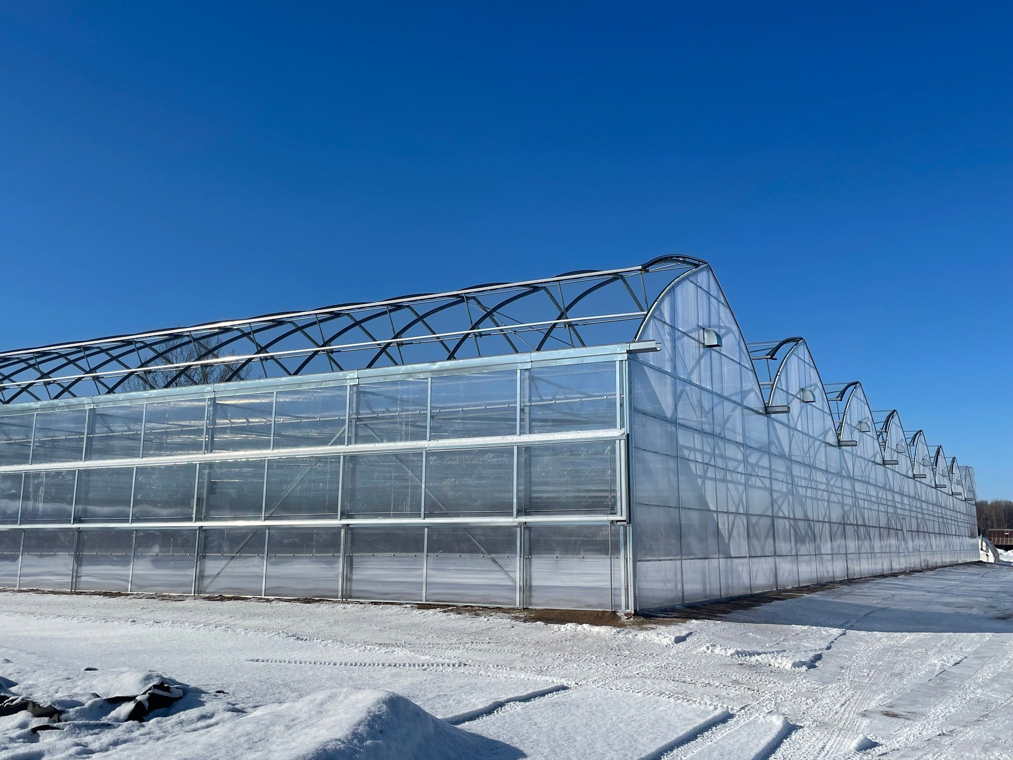 Embracing the Magic Amidst the Madness