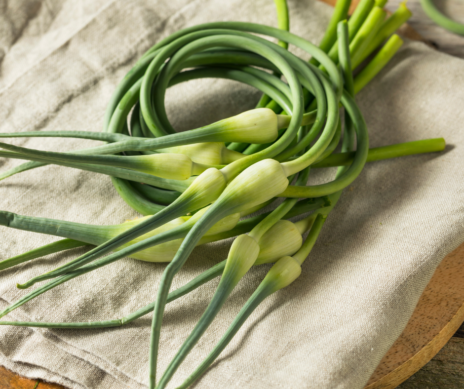 Garlic Scapes