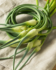Garlic Scapes
