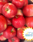 First-kiss-apples.png__PID:a7b42960-6022-4286-b44e-10005b865af1