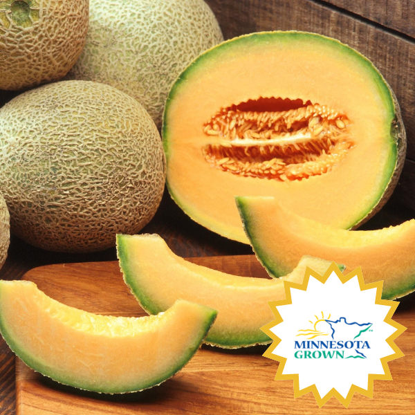 What's In Season  - cantaloupe.png__PID:3e990c45-f365-413a-9975-1eb0fd92ff61