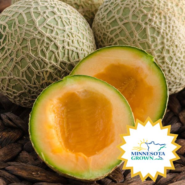 What's In Season  - sugar cube.jpg__PID:75a6be22-f708-49b3-a1c7-c2fa7db23e99