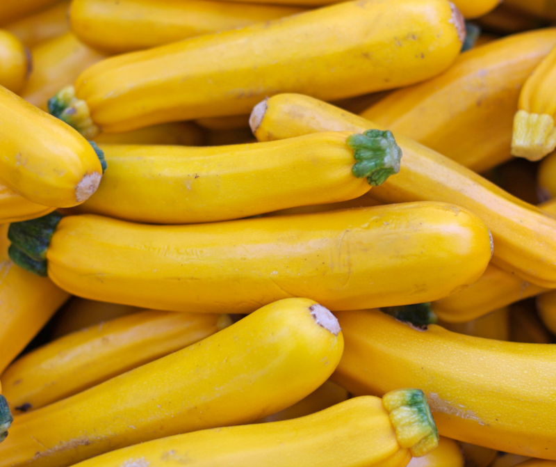 Yellow Zucchini 800.png__PID:b0749d5a-e0d1-4448-828f-65a7566538bb