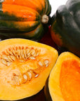 Acorn Squash