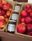 Apples